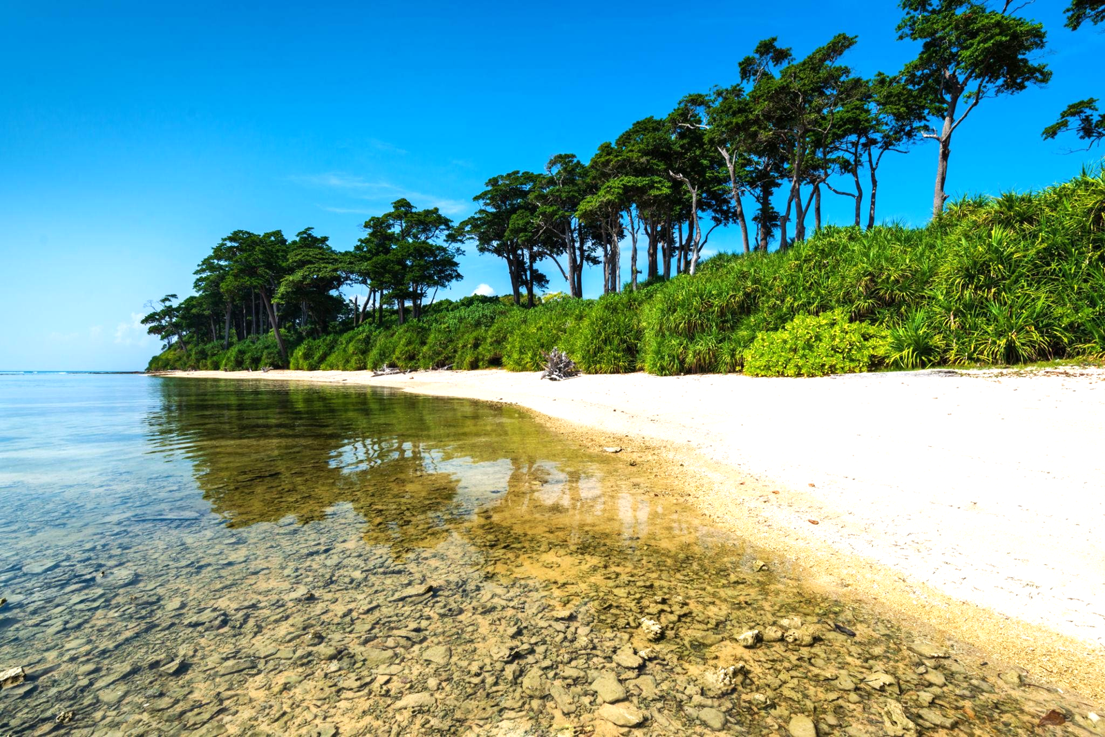 Pearls of Andaman and Nicobar